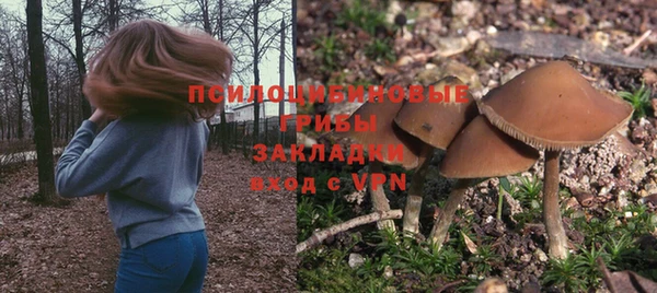 твердый Арсеньев