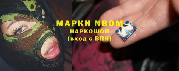 твердый Арсеньев