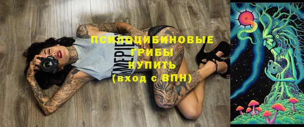твердый Арсеньев