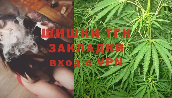 твердый Арсеньев