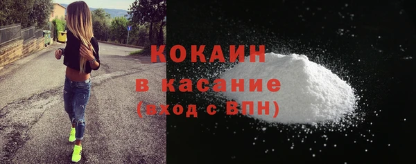 твердый Арсеньев