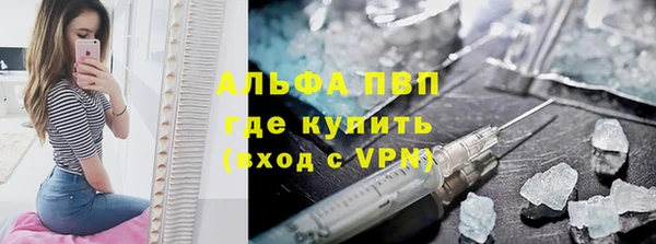 твердый Арсеньев